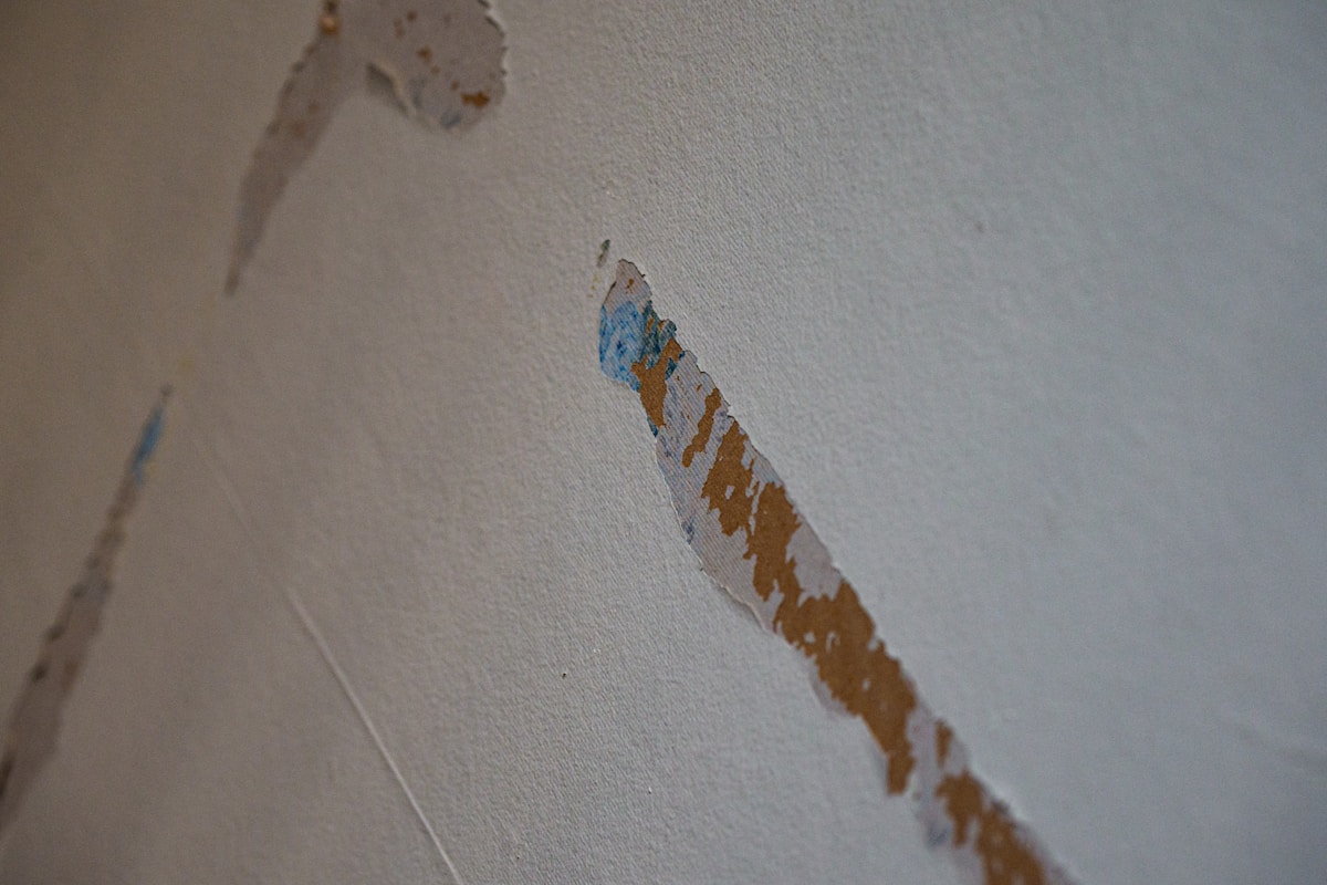 Sewage Cleanup service in Murrieta, CA